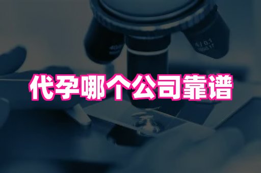 nub孕网 3