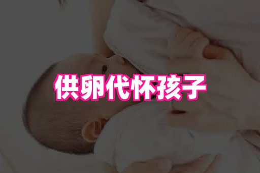 nub孕网 4